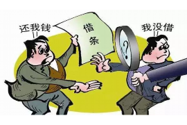 桃山为什么选择专业追讨公司来处理您的债务纠纷？