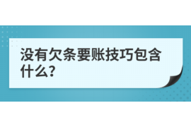 桃山桃山专业催债公司的催债流程和方法